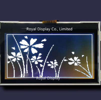 1/10 schräger FSTN-ZAHN grafischer LCD zeigen Positiv 192X64 Transflective an
