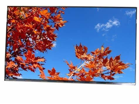 11.6' 1920*1080 Tianma FHD SFT TFT LVDS LCD Modul mit Berührung