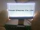 Grau 128X64 Dots Matrix OEM/ODM Stn mit Blacklight-PFEILER LCD-Modul LCD-Anzeige RYG12864M ST7565R